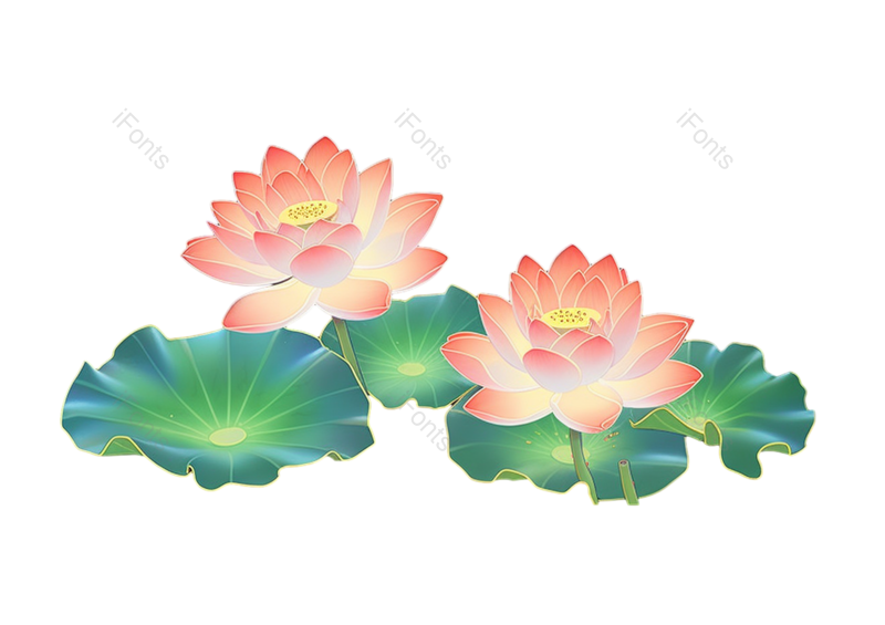 夏至图片,中国风元素,元素PNG,荷花免抠素材